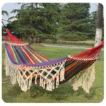 Bohemian Style Double Hammock with Tassels Canvas Fabric Thickened Ropes & Carrying Bag Max Weight Capacity for Outdoor