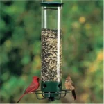 Hanging squirrel proof bird feeder in garden with a chickadee feeding