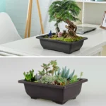 Rectangular planter with succulent, placed on wooden deck in sunlight.