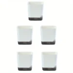 Mini plant pots in a living room shelf, each with different small houseplants, creating a green wall.
