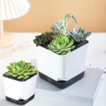 Set of 5 colorful planters on a garden table, surrounded by other garden decor items.