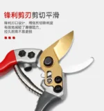 Goldoma pruning shears cutting a flower stem, with a blurred garden backdrop.
