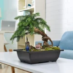 Succulent in pot, placed on deck railing with greenery background.