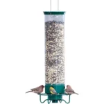 Hanging squirrel proof bird feeder in garden with a chickadee feeding