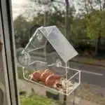 Transparent window bird feeder attached to glass with suction cups, filled with seeds, attracting a cardinal