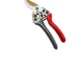 Goldoma pruning shears with orange handles and sharp steel blades on a white background.