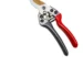 Goldoma pruning shears with orange handles and sharp steel blades on a white background.