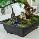 Three pots with succulents, on wooden steps leading to garden.
