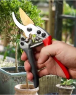 Goldoma pruning shears in a workshop, with a sharpening stone nearby.