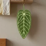 Plant Towels Ultra-Absorbent Quick-Dry Bathroom & Kitchen Towel - Tropical Leaf Design Hand/Thumb Towel with Hanging
