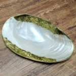 Natural Shell Tray With Golden Metal Edge Mother of Pearl Restaurant Serving Plate Dish Bowl Jewelry Holder Photography Props