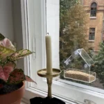 Transparent window bird feeder attached to glass with suction cups, filled with seeds, attracting a cardinal
