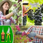 2PCS Gardening Scissors Set Ergonomic non-slip handles Safety lock pruning shears Beginner gardening set Can cut roses and