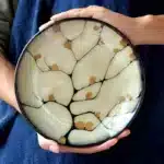 Plum blossom decorative dessert plate Decorative plate Western food plate plates Japanese kiln transformation Ceramic