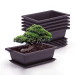 Purple clay imitation rectangular flowerpot with tray, front view on garden table.
