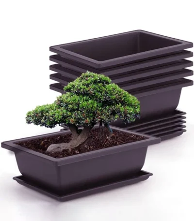 Purple clay imitation rectangular flowerpot with tray, front view on garden table.