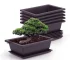 Purple clay imitation rectangular flowerpot with tray, front view on garden table.