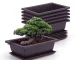 Purple clay imitation rectangular flowerpot with tray, front view on garden table.