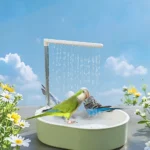 Parrot Bathtub Accessory Bathing Box Parrot Shower Bird Bathtub Bird Bath Shower for Conure Budgie African Grey Garden