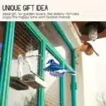 Transparent window bird feeder attached to glass with suction cups, filled with seeds, attracting a cardinal