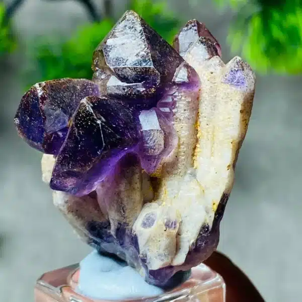 Mexico Natural Vera Cruz Amethyst Rough Crystal Quartz Specimen Healing Energy Stone For Home Desk Decor Precious Gift