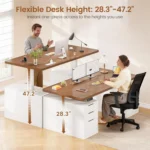 Electric Standing Desk with 6 Drawers, 55" Adjustable Stand up Desk with Storage, Computer Desks with Power Outlets,