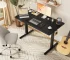 JHK Ergonomic Electric Standing Desk Height Adjustable Computer Desk Large Work PC Table Home Office Writing Gaming Desks