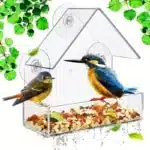Transparent window bird feeder attached to glass with suction cups, filled with seeds, attracting a cardinal