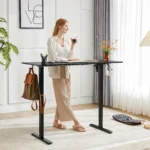 JHK Ergonomic Electric Standing Desk Height Adjustable Computer Desk Large Work PC Table Home Office Writing Gaming Desks