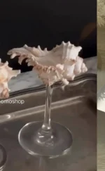 Handmade Natural Conch Wine Glass Modern Creative Niche Christmas Gift Gift Decoration Ornaments Household Shell Candlestick