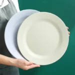 Inyahome 1/4/10PCS Nordic Polypropylene Plates Dinnerware Tableware Eco Friendly Lightweight Kitchen Dishes Safe Dinner