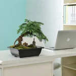 Imitation purple clay pot with succulent, on concrete patio.