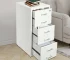 6 Drawer File Cabinet with Lock, Vertical Filing Storage Cabinets with Wheels Metal Rolling Organizer for Home Office Study