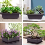 Purple clay imitation pot with tray, on stone path in garden.