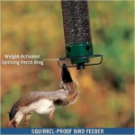Hanging squirrel proof bird feeder in garden with a chickadee feeding