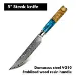 Amber 67-layer Damascus Steel 4pcs 5-inch Steak Kitchen Knife Set kitchen tool Resin with burl wood Handle Sharp Tools