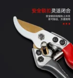 Goldoma pruning shears in a tool belt alongside a trowel and gloves.
