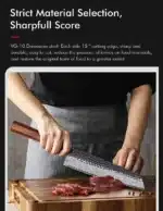 TURWHO 8.2" Japanese Kiritsuke Knife Damascus Steel Hand Forged VG10 Chef Knife Kitchen Sharp Professional Cleaver Cooking