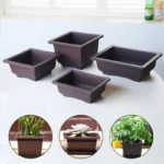 Rectangular planter on garden table, with other pots nearby.