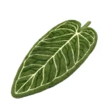 Plant Towels Ultra-Absorbent Quick-Dry Bathroom & Kitchen Towel - Tropical Leaf Design Hand/Thumb Towel with Hanging
