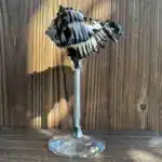 Handmade Natural Conch Wine Glass Modern Creative Niche Christmas Gift Gift Decoration Ornaments Household Shell Candlestick