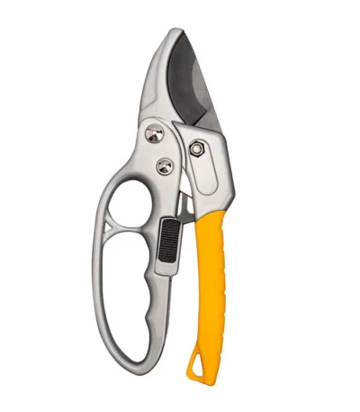 Pruning shears for garden cutting a rose stem with clean slice