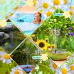 Outdoor bird bath fountain with solar panel and water spray in a garden