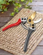 Goldoma pruning shears in a hand, pointing at a branch to be pruned.