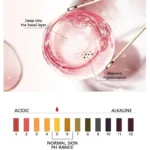 Whitening Cream For Dark Skin Underarm Bleaching Armpit Lightening And Intimate Area Woman Moisturizer Korean Skin Care