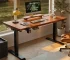 Electric Height-Adjustable Standing Desk Computer Desk for Gaming and Office Use Home Study Desk E-sports Table Workbench