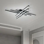 Modern LED Ceiling Lights Black Flush Mount Ceiling Light Fixture Dimmable Ceiling Lights for Bedroom Living Room Kitchen