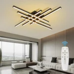 Modern LED Ceiling Lights Black Flush Mount Ceiling Light Fixture Dimmable Ceiling Lights for Bedroom Living Room Kitchen