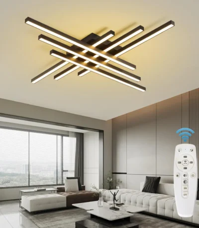 Modern LED Ceiling Lights Black Flush Mount Ceiling Light Fixture Dimmable Ceiling Lights for Bedroom Living Room Kitchen
