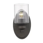 HMS Contemporary One Light Bronze LED Wall Sconce with Clear Glass Shade Modern Indoor Wall Lamps for Hotels Warm White